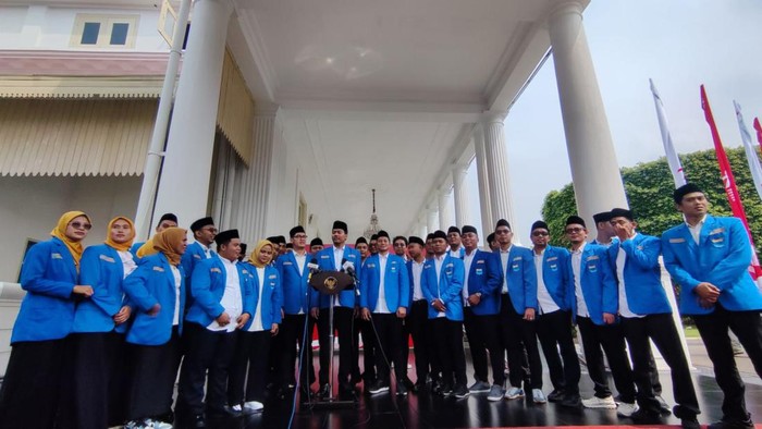 PMII Usai Bertemu Jokowi di Istana