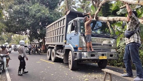 Pohon tumbang menimpa truk yang melintas di jalur Amlapura-Denpasar, tepatnya di Banjar Dinas Belong, Desa/Kecamatan Manggis, Kabupaten Karangasem, Bali, Selasa (25/7/2023). (Foto: I Wayan Selamat Juniasa/detikBali)