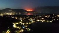 Suasana kebakaran hutan di malam hari.  