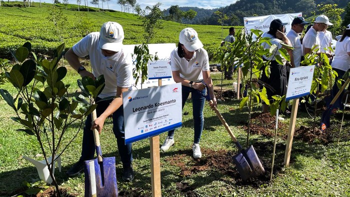 Bank Jasa Jakarta, bersama Astra Financial menyelenggarakan kegiatan tanam pohon di Hulu Sungai Ciliwung, Bogor, Jawa Barat (21/07), sebagai upaya menciptakan lingkungan yang berkelanjutan dengan penurunan gas rumah kaca di udara.