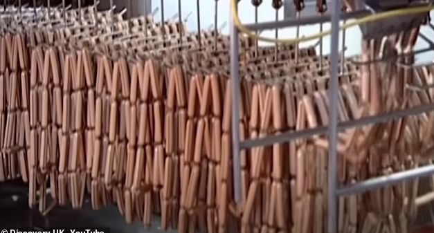 Proses Pembuatan Sosis Hot Dog Bikin Foodies Geli, Begini Kata Mereka