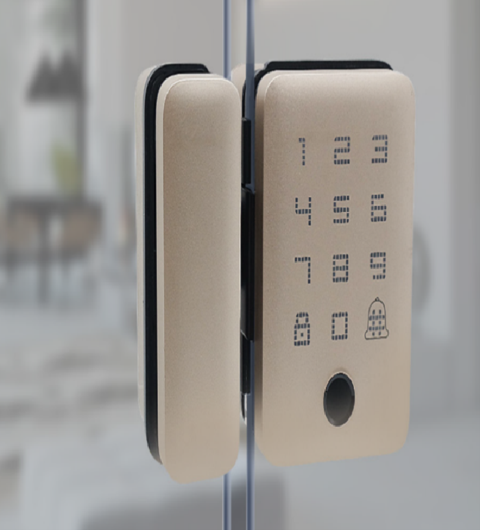 Smart Lock