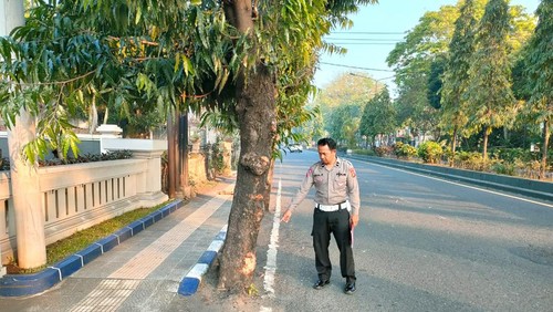 Lakalantas merenggut satu orang korban jiwa terjadi di Jalan Raya Udayana, jalur Denpasar-Gilimanuk Km 96-97, Selasa (25/7/2023).