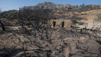 Saat itu pulau terbakar, rumah dan hotel rusak, sementara ribuan orang terpaksa mengungsi. Turis pun kelabakan dan dibantu oleh warga lokal.  