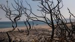 Tandusnya Pulau Wisata di Yunani Setelah Dilalap Kebakaran Hutan