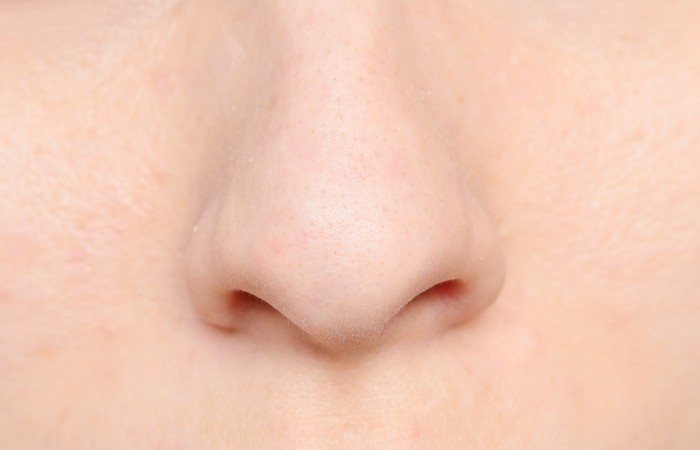 ilustrasi hidung wanita