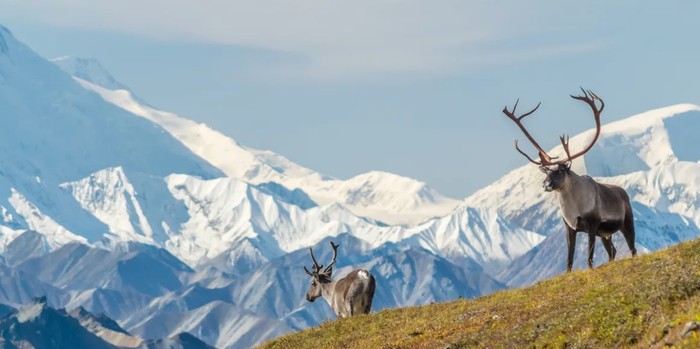 Alaska
