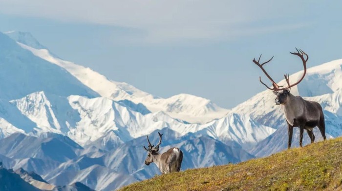 Alaska