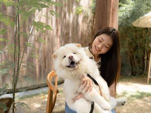 Membacakan Cerita ke Anjing Ternyata Bermanfaat untuk Anak, Ini Kata Studi