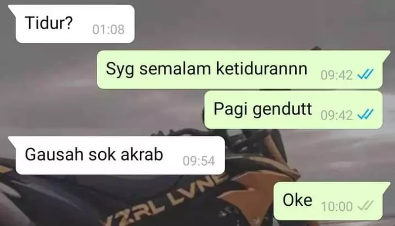 Chat pacar ngambek ini benar-benar bikin gemes sendiri ngebacanya. Kaum jomblo nggak akan ngerti rasanya, hihi.