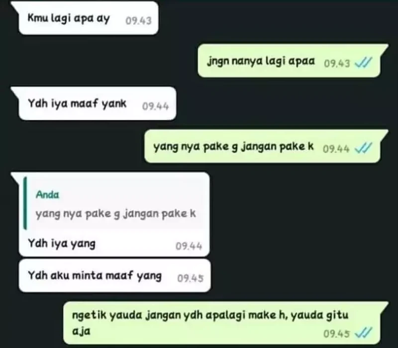 Chat pacar ngambek ini benar-benar bikin gemes sendiri ngebacanya. Kaum jomblo nggak akan ngerti rasanya, hihi.