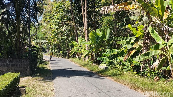 Jalan masuk menuju petilasan tempat diduga awal mula kemunculan bau misterius di Dusun Polodadi, Kalurahan Kulur, Kapanewon Temon, Kulon Progo, Rabu (26/7/2023).