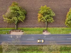 Foto Terlihat Hasil Editan Photoshop Padahal Asli