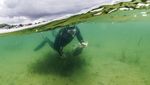 Kerja Keras Menghijaukan Kembali Laut Baltik