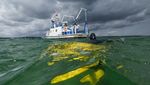 Kerja Keras Menghijaukan Kembali Laut Baltik