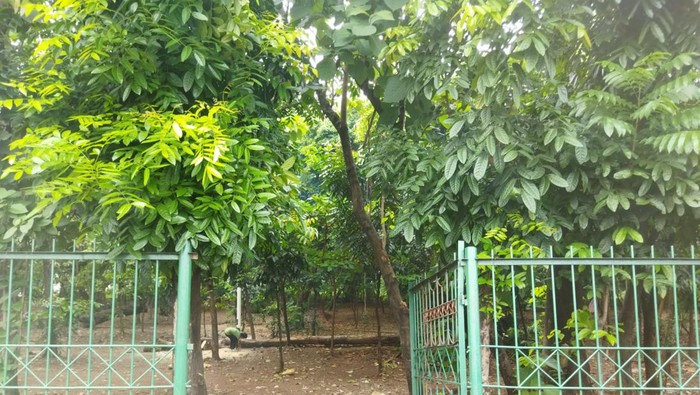 Hutan Kota Jaktim (Kurniawan-detikcom)