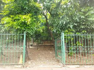 Pagar Hutan Kota di Cawang Diperbaiki Usai Heboh Disebut Tempat LGBT