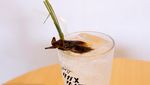 Kari Jangkring hingga Soda Kutu Air Jadi Makanan Kelas Atas di Jepang