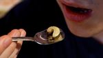 Kari Jangkring hingga Soda Kutu Air Jadi Makanan Kelas Atas di Jepang