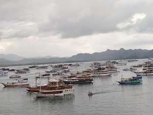 Duh, 20 Wisatawan Tertipu Agen Travel di Labuan Bajo