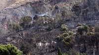 Tak hanya Italia, sejumlah negara di Eropa mengalami kebakaran hutan dahsyat akibat gelombang panas. (REUTERS/Alberto Lo Bianco)