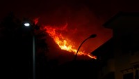 Kebakaran hutan terjadi di desa Sisilia Romitello, dekat Palermo, Italia, Selasa (25/7/2023). (REUTERS/Alberto Lo Bianco)