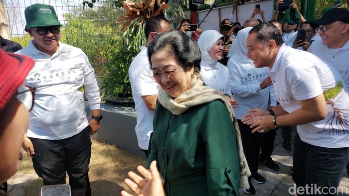 Ketum PDIP Megawati Soekarnoputri mengaku kerap dirundung karena menyebut kadernya dengan sebutan petugas partai. (Rumondang N/detikcom)