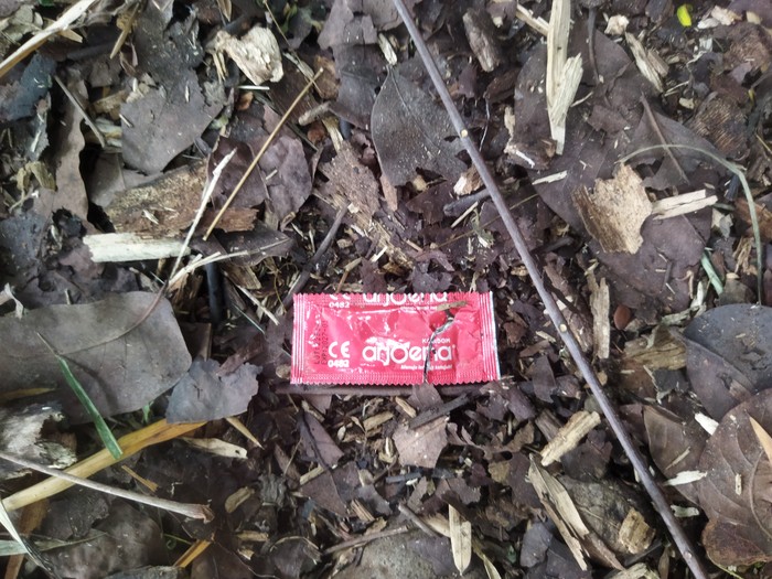 Kondom dan bungkus kemasan obat kuat ditemukan di Hutan Kota UKI, Cawang, Jaktim,