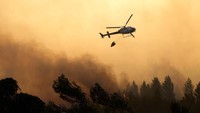 Kebakaran dimulai sekitar pukul 17.00 waktu setempat, di lahan seluas 145 kilometer persegi yang terletak di sebelah barat ibu kota Lisbon. Lokasi ini merupakan bagian dari taman alam Sintra-Cascais.