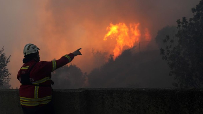 Lusinan Pesawat dan Warga Berjuang Padamkan Karhutla di Portugal A firefighter points out as wildfire advances burning the forest in Alcabideche, outside Lisbon on Tuesday, July 25, 2023. Hundreds of firefighters and over a dozen airplanes were fighting a wildfire that spread quickly fanned by strong winds. (AP Photo/Armando Franca)