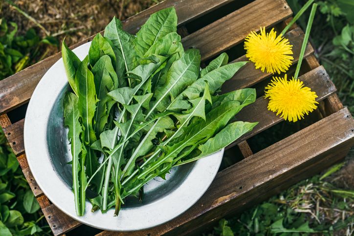 Peneliti Ungkap 5 Makanan Tinggi Prebiotik Terbaru Buat Kesehatan Usus