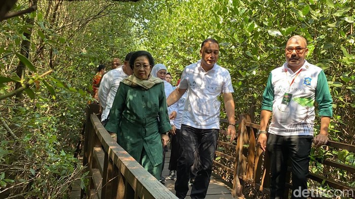 Megawati meresmikan Kebun Raya Mangrove Surabaya