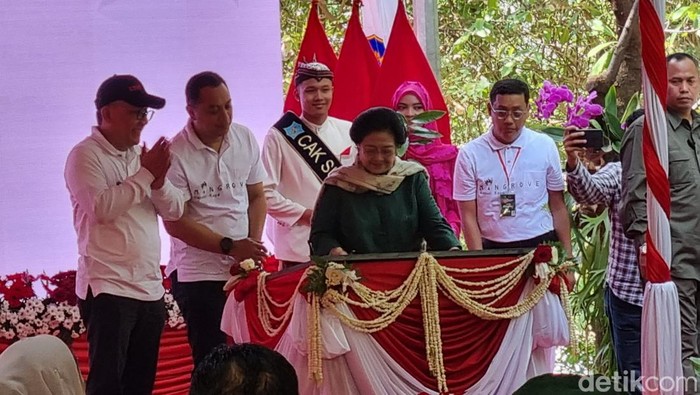 Megawati meresmikan Kebun Raya Mangrove Surabaya