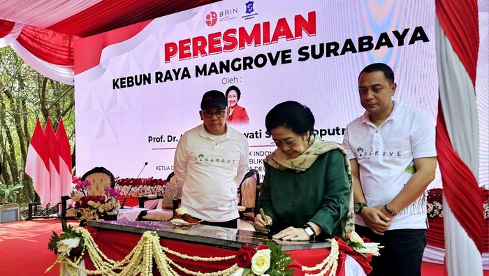 Presiden ke-5 RI dan Ketua Dewan Pengarah Badan Riset dan Inovasi Nasional (BRIN) Megawati Soekarnoputri meresmikan tempat wisata dan pusat edukasi Kebun Raya Mangrove di kawasan Gunung Anyar, Surabaya, Jawa Timur. Peresmian dilakukan bertepatan dengan peringatan Hari Mangrove Sedunia.