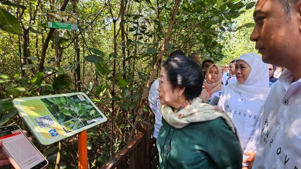 Presiden ke-5 RI dan Ketua Dewan Pengarah Badan Riset dan Inovasi Nasional (BRIN) Megawati Soekarnoputri meresmikan tempat wisata dan pusat edukasi Kebun Raya Mangrove di kawasan Gunung Anyar, Surabaya, Jawa Timur. Peresmian dilakukan bertepatan dengan peringatan Hari Mangrove Sedunia.