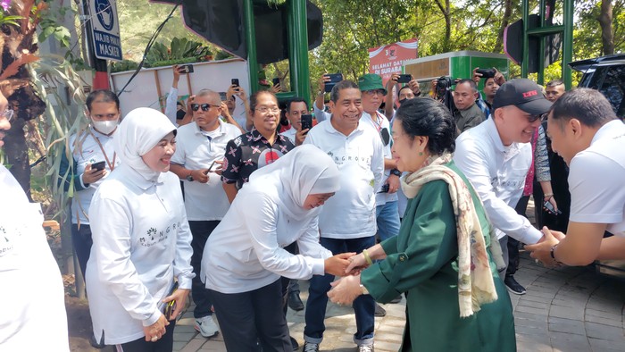 Megawati tiba di Kebun Raya Mangrove Surabaya (Rumondang-detikcom)