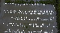 Mobil-mobil itu terendam banjir karena tak sempat dievakuasi.  