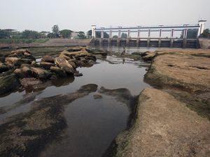 Sungai Cisadane Menyurut Gegara Kemarau dan Pintu Air Jebol