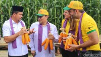 Peluncuran ini menandai tonggak sejarah bagi Indonesia, karena merupakan langkah awal dalam mengadopsi benih jagung bioteknologi.