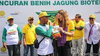 Benih jagung hasil bioteknologi ini memungkinkan Indonesia mencapai tujuan swasembada pangan, dampak positif pada ekonomi nasional dan peningkatan PDB.  