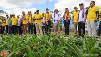Jagung merupakan tanaman penting bagi Indonesia sebagai bahan pangan untuk mencukupi kebutuhan diet tinggi protein bagi penduduk Indonesia. Meningkatkan produksi jagung dalam negeri memberikan stabilitas harga bagi sumber protein seperti unggas dan telur, dan oleh karena itu penting untuk ketahanan pangan Indonesia.