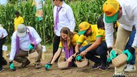 Bupati Dompu Kader Jaelani, Ketua Komite Tetap Pengembangan Industri Pangan Kamar Dagang dan Industri Pertanian Indonesia (KADIN) Hermanto Siregar, Bayer Crop Science Country Cluster Head for Southeast Asia & Pakistan Stacy Markovich, dan Bayer Crop Science Asia Pacific Marketing Lead Mateus Barros hadir dalam peluncuran Dekalb DK95R di Desa Banggo, Manggalewa, Dompu, Nusa Tenggara Barat, Rabu (26/7/2023).
