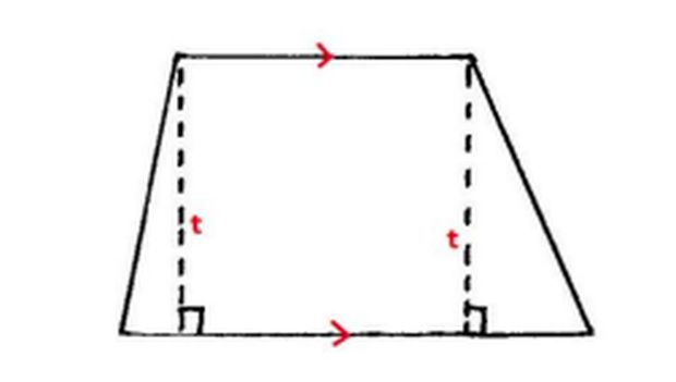 trapesium