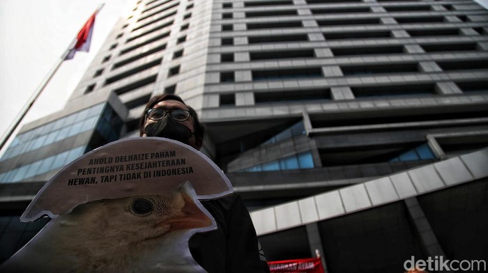 Aksi Menolak Peternakan Ayam Bebas Kandang Baterai Aksi Menolak Peternakan Ayam Bebas Kandang Baterai