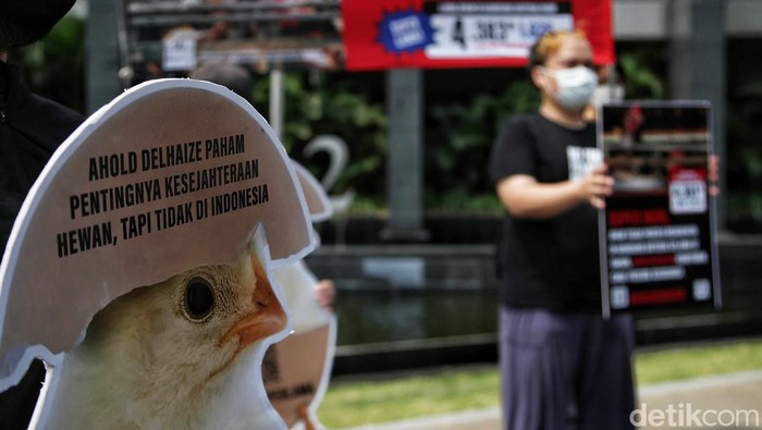 Aksi Menolak Peternakan Ayam Bebas Kandang Baterai Aksi Menolak Peternakan Ayam Bebas Kandang Baterai