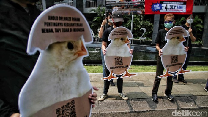 Aksi Menolak Peternakan Ayam Bebas Kandang Baterai Aksi Menolak Peternakan Ayam Bebas Kandang Baterai