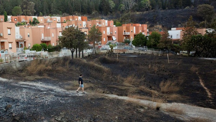 Dampak Kebakaran Hutan di Sisilia Italia A person looks around after a wildfire destroyed vegetation in the Sicilian town of Palermo, Italy July 26, 2023. REUTERS/Antonio Cascio TPX IMAGES OF THE DAY