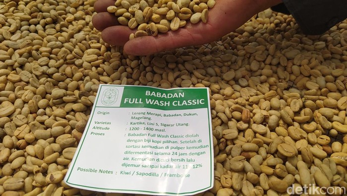 Hasil panen kopi dari lereng Merapi, Kabupaten Magelang, Kamis (27/7/2023).