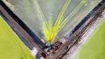Melihat Ladang Lithium di Chile, Cadangan Terbesar Dunia