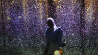 Konsep imersif sendiri menyajikan teknologi multimedia interaktif, sehingga pengunjung pameran bisa menikmati pemandangan secara lebih nyata.  
